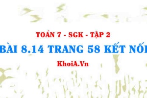 Bài 8.14 trang 58 Toán 7 Kết nối tri thức Tập 2